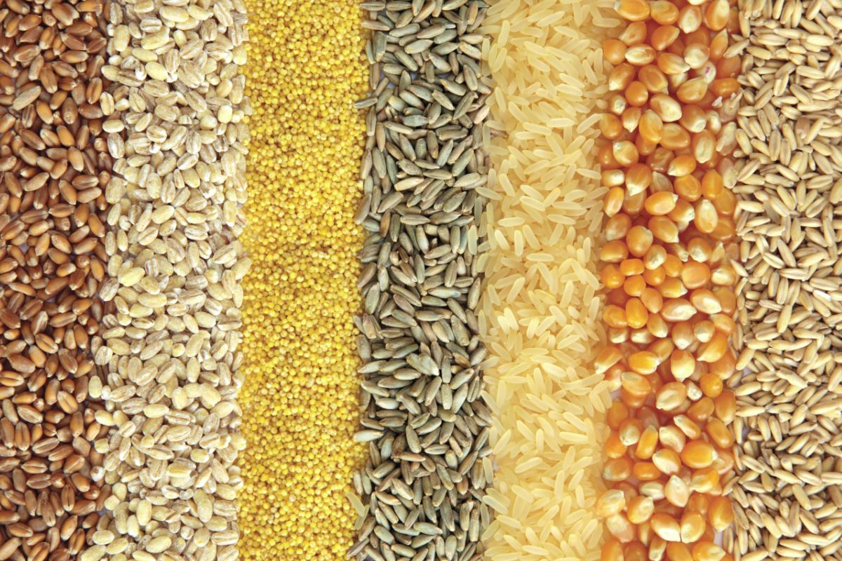 Grains