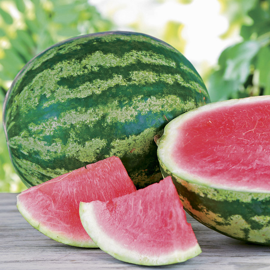 Watermelon