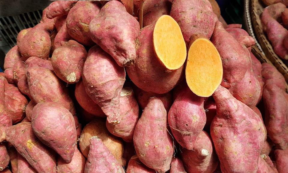 SWEET POTATO