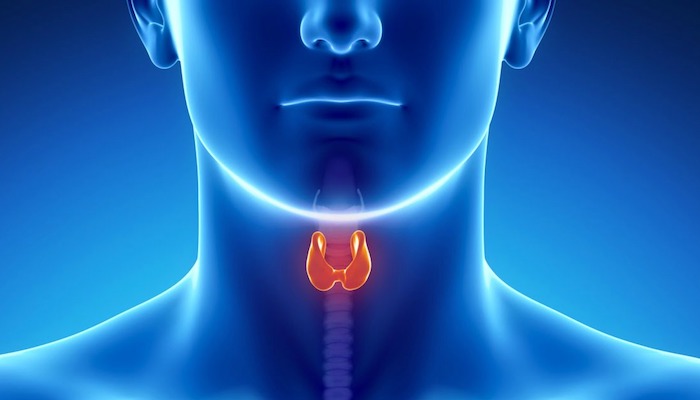 WHAT IS THYROID