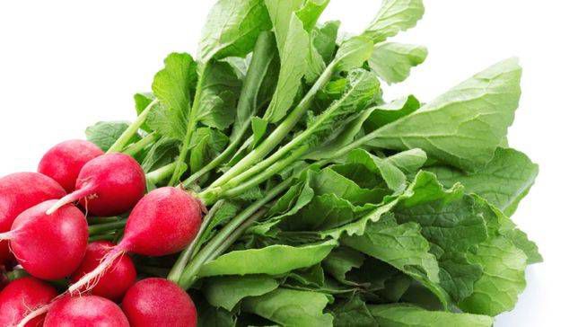 Radish Leaves refined sugar, saturated fats, healthy fats, milk thistle, fresh fruits, jaundice recovery
