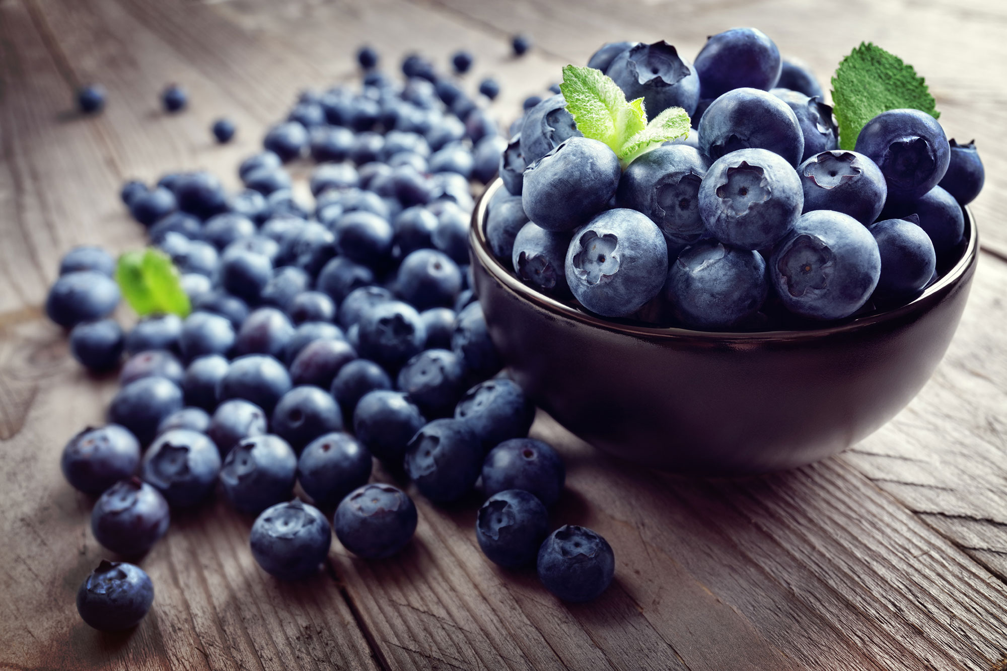 Bleuets bienfaits pour la santé santé cardiaque autres nutriments aliments enrichis cerveau et cellules nerveuses aliments légumes fruits secs