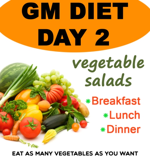 GM Diet Plan Day 2