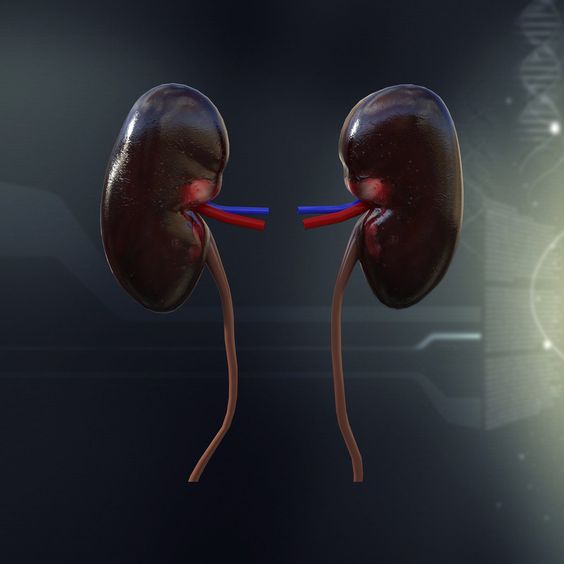 Kidney Stone Chart