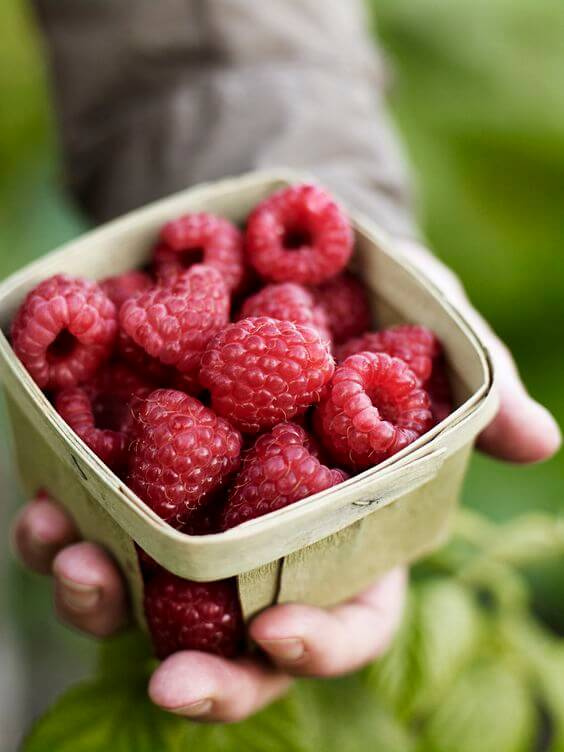 Raspberry