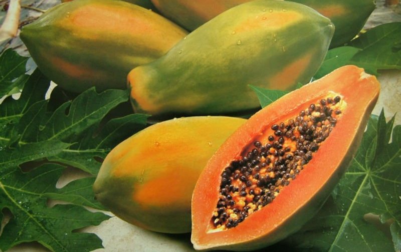 Papaya and Papaya Leaves, large meals, eat foods, well balanced diet, fresh herbal tea, cruciferous vegetables, salt intake, jaundice recovery, jaundice recovery, digestive system, digestive system, dairy products, oily foods, supports liver health, grapes citrus fruits, small and frequent meals