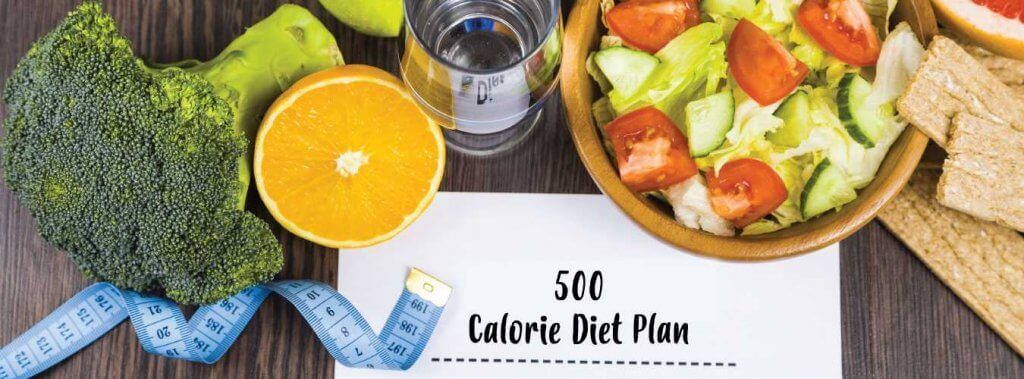 500 calorie diet plan