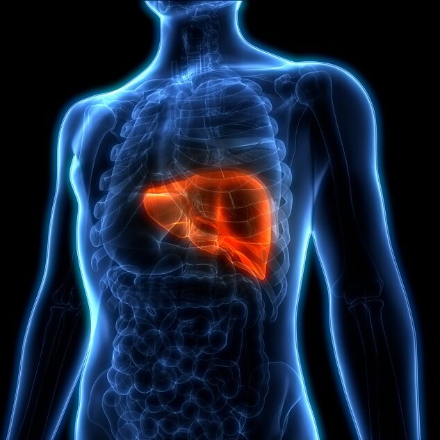 Symptoms Of Liver Damage