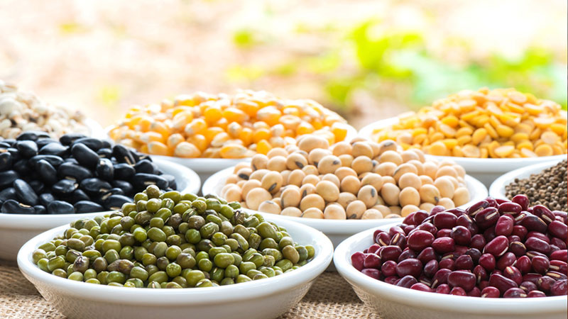 Beans or Legumes