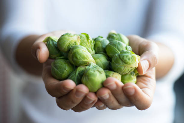 Brussels Sprout