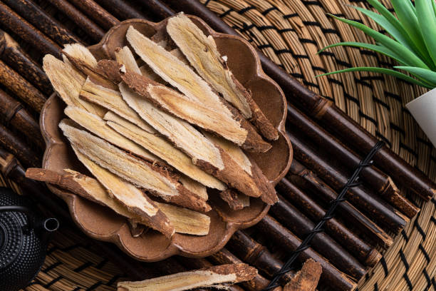 Astragalus Root