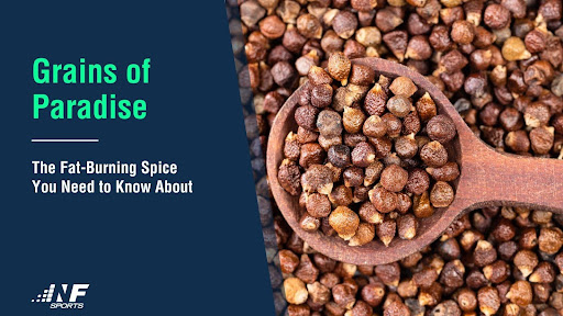 Grains of Paradise- The Fat-burning Spice You Need to Know About