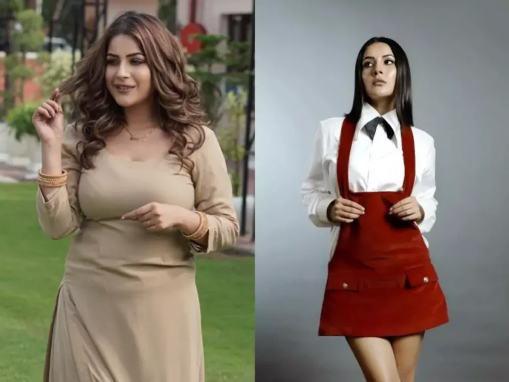 Shehnaaz Gill Weight Loss Journey