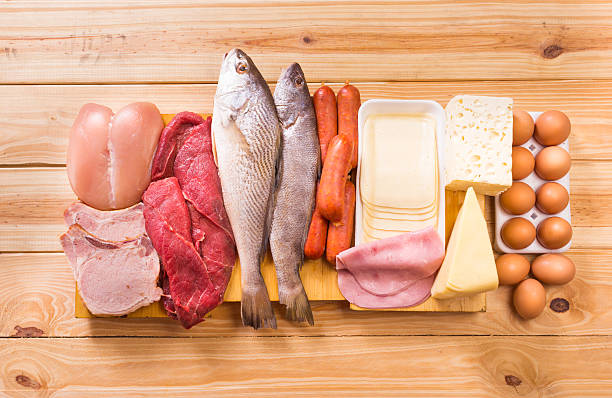 Protein Intake Guidelines for High Creatinine Patients